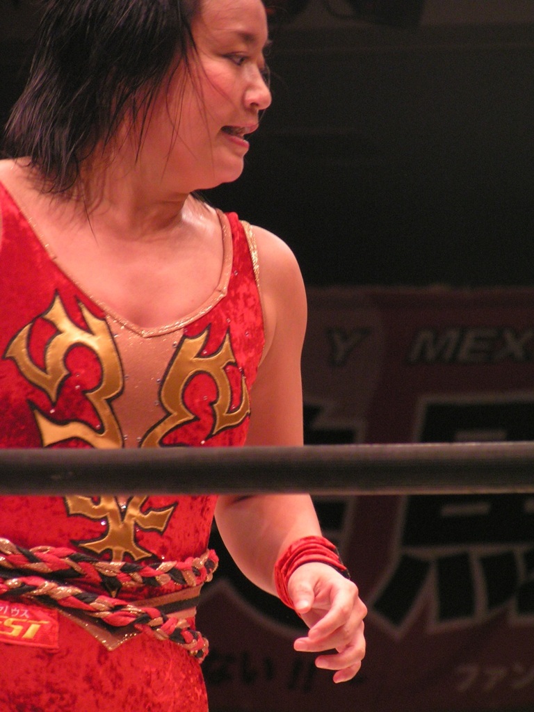 サムライのプロレスニュース出演