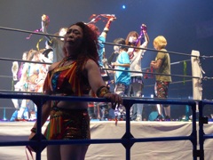 力道山はアジアタッグ