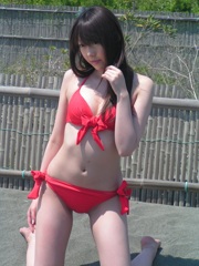 この時のNWAチャンピオンはブリスコ