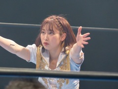 格闘技の聖地とか