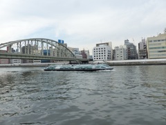 これが隅田川か