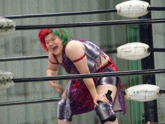 リオデジャネイロオリンピック決勝ドイツｖｓブラジル