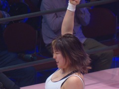 2009年ブラウンメルセデス