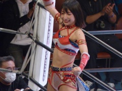 昨日は正面から入れた