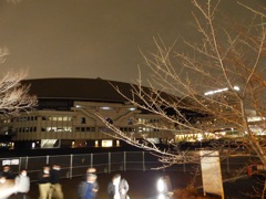 プロレスの話しても仕様がない