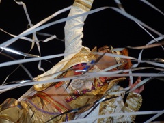 去年の横浜武道館は10月22日だった