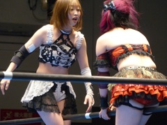 デイスイズプロ野球