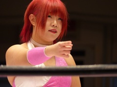 5スターグランプリを見てみると