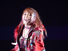 スターダム大阪府立体育館は今日