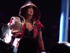 ４日か５日にテレビで新日本見てたら