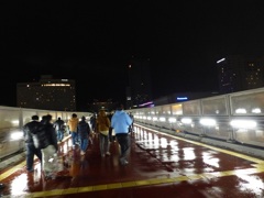 プロレス仕様がない