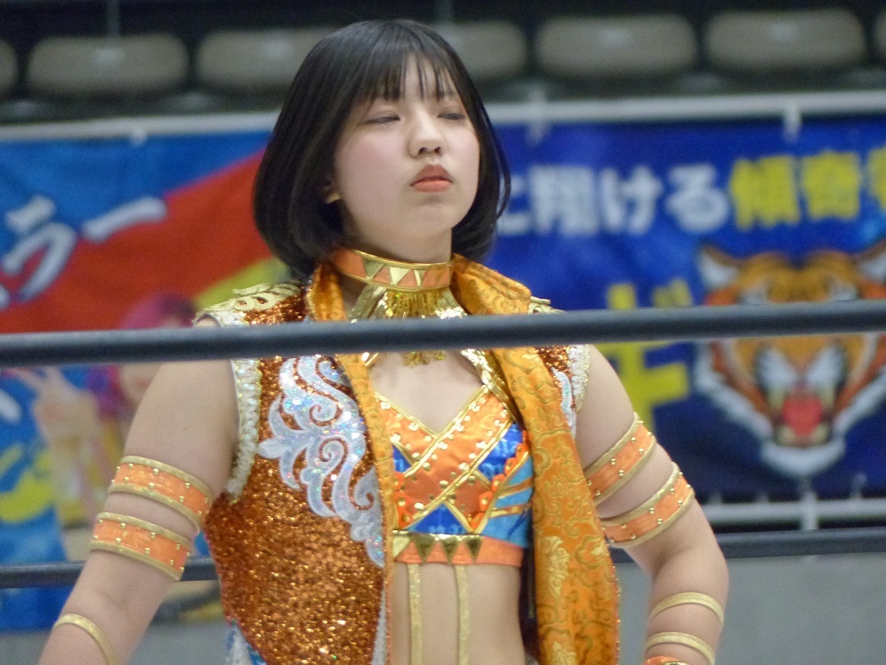 ライデイーン、79年9月頃発売