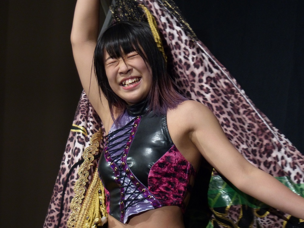 何年か続いてる横浜プロレス祭りは