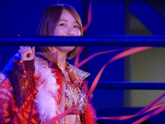 タイガークイーンが消えても