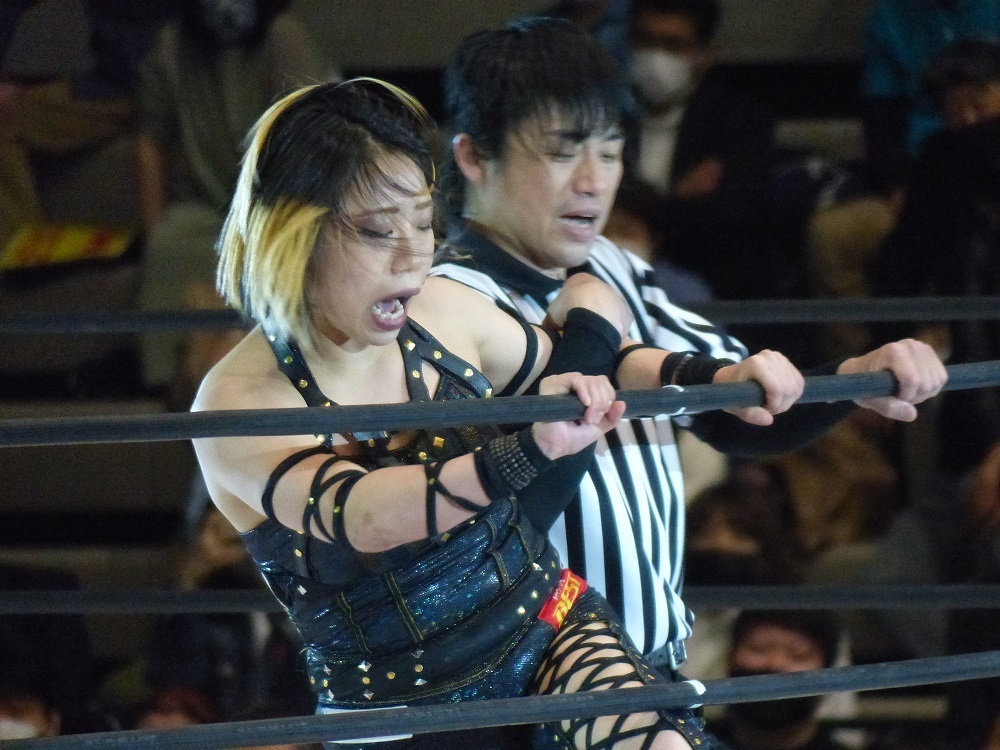 ガイアイズムはたぶんやります