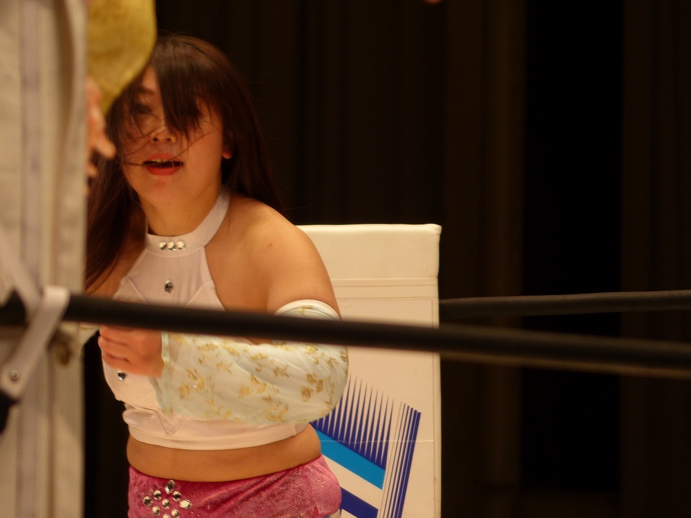 ジェラシックパワーズとか言ってましたね当時