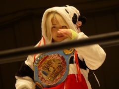 たぶん２までしかやんなかった