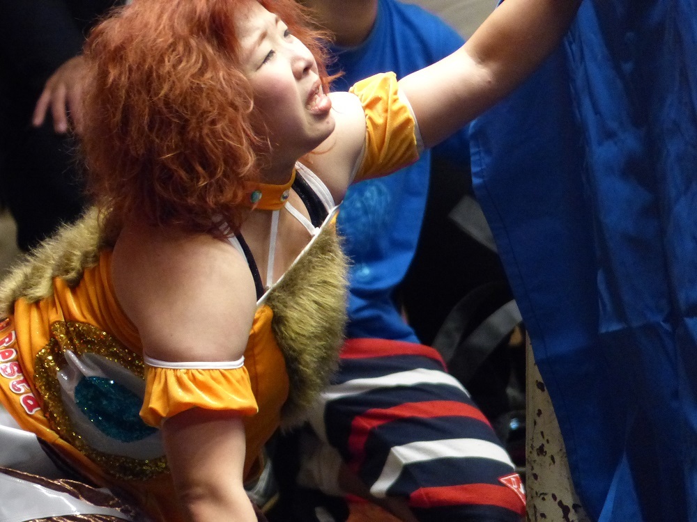 週刊プロレスのスケジュール一覧を見ても