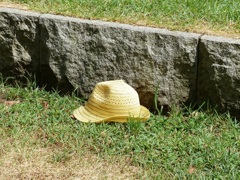 宮崎選手は快方に向かっています