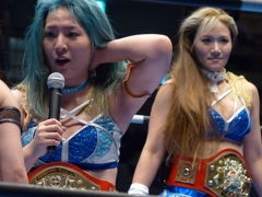 82年藤波ｖｓマードック