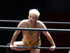 日本プロレス70年史で見てみると
