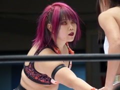 別にホンダがいようがいまいがある程度Ｆ１見るし