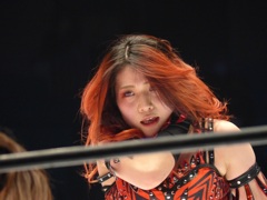 衝撃事実が判明したのはいつだ