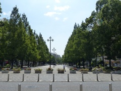 会見はいつですか