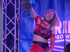 MＳＧシリーズ公式戦