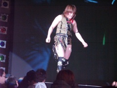 プロレスでも判定ってきいたことある