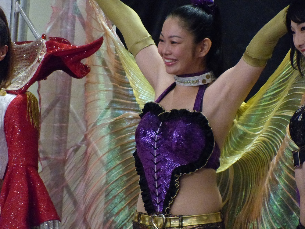 引退試合はニコニコプロレスで中継