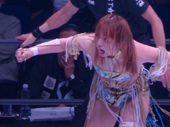 宝島のプロレスシリーズで書いてましたね