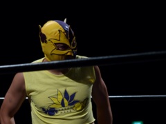 平成２８年度川崎市都市ブランド推進事業