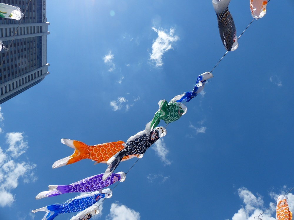 今日もらったチラシによると