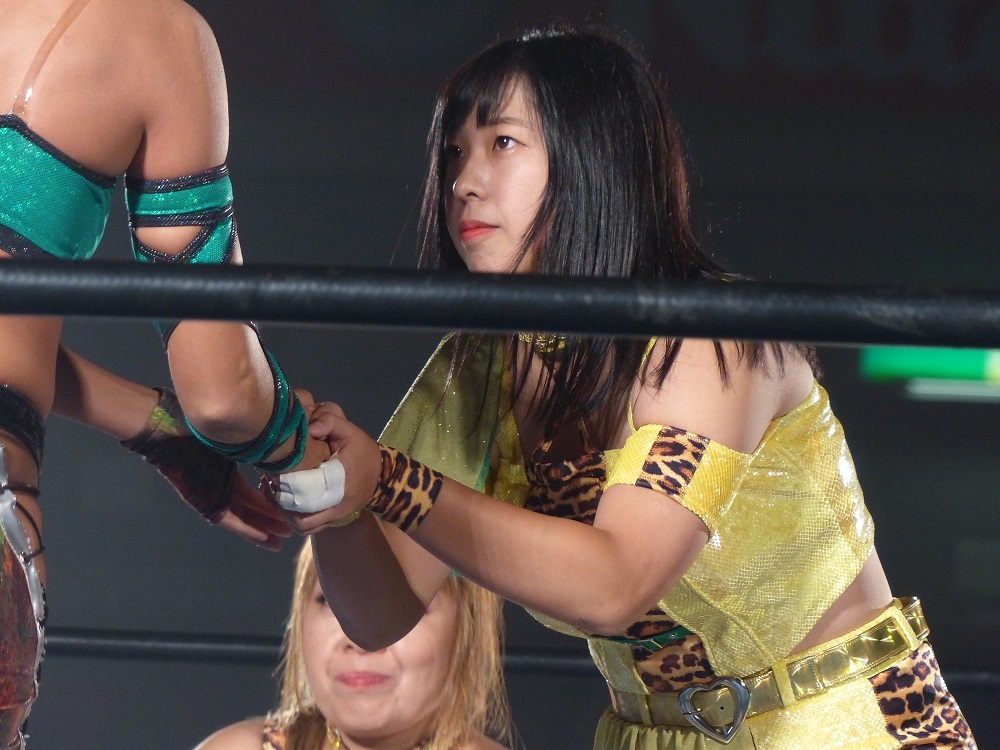 スターダム今後の予定は