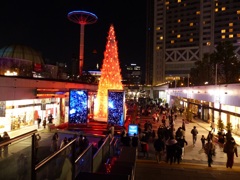 来年はワールドカップだな