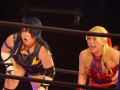 全日本は馬場サンマルチノｖｓシン上田