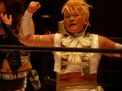 プロレスを見てみると