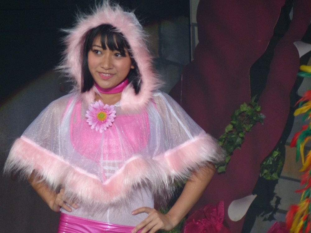 違うだろ、2代目マスクドサン