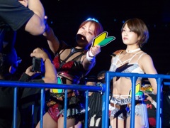 出る杭は何でもうつ