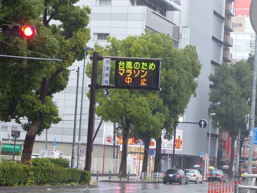 それほどの雨でもなかった