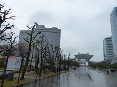 でももし野球が