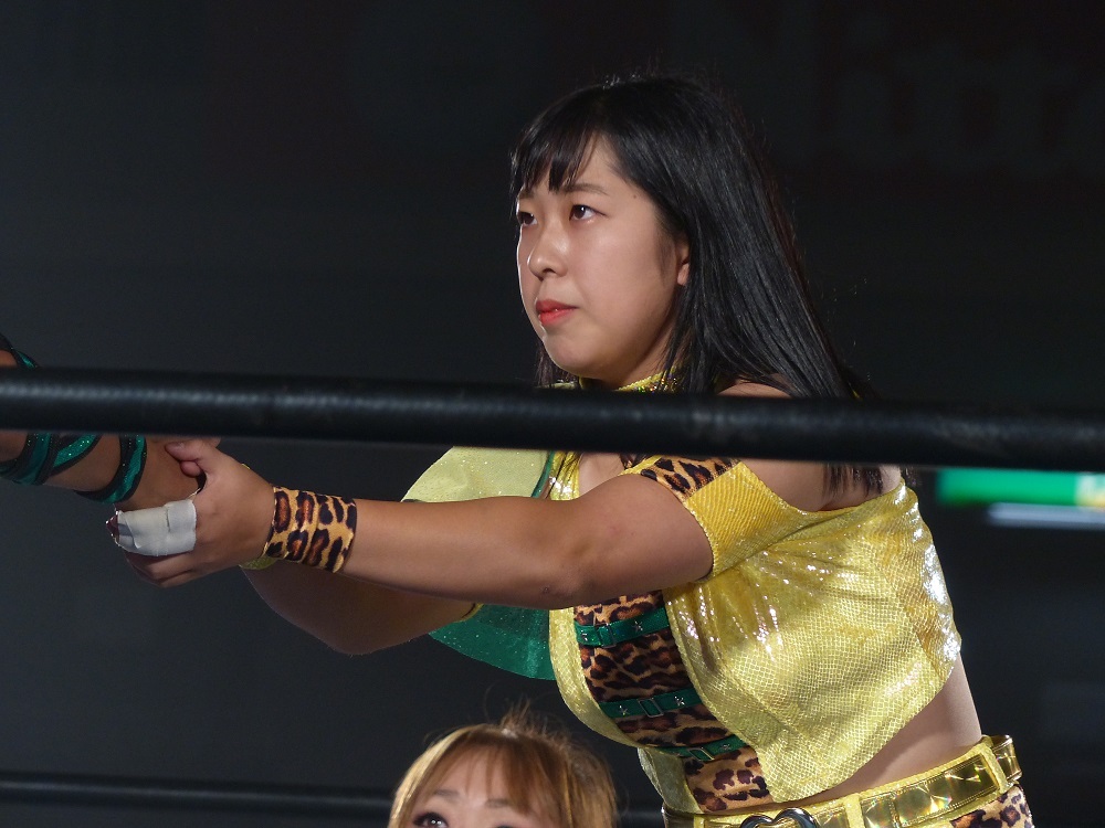 藤本つかさ、世界征服