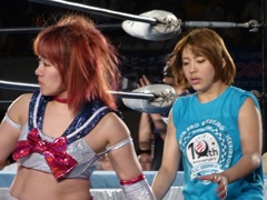 おれが見たのは月刊プロレスニュースと