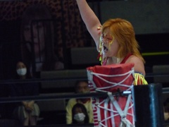 11月7日はタイトルマッチじゃないんだな