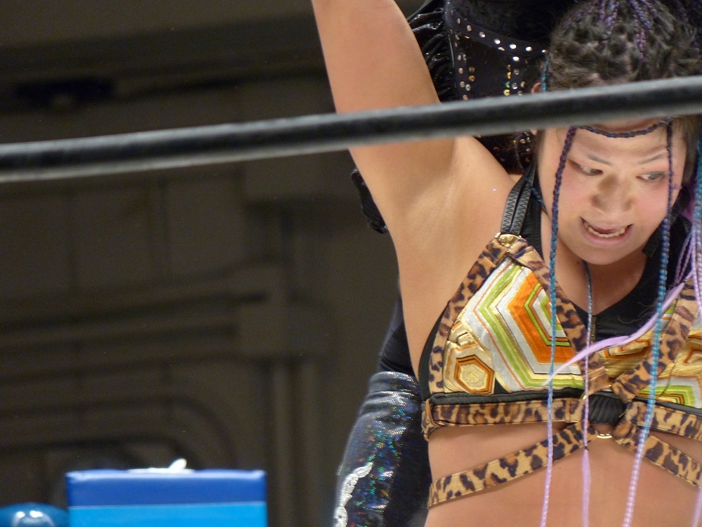 鶴田のUNに挑戦したシリーズ