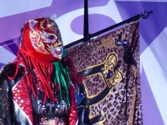 スターダム大阪は１２月２０日だ