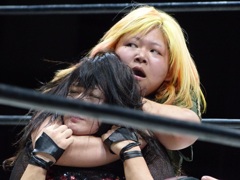 シードリング新木場は27日金曜日