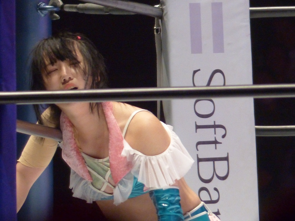 横浜武道館と同じような印象だった