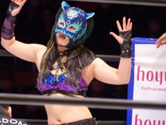 内藤ｖｓサナダ、ダイレクトリマッチ